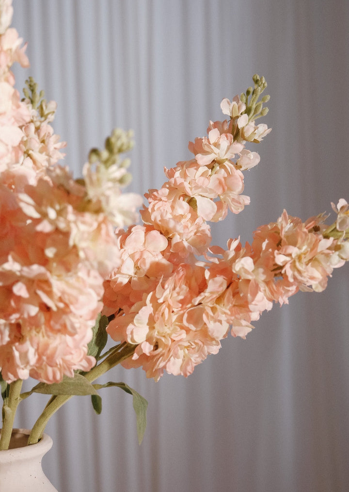 Peach Delphinium