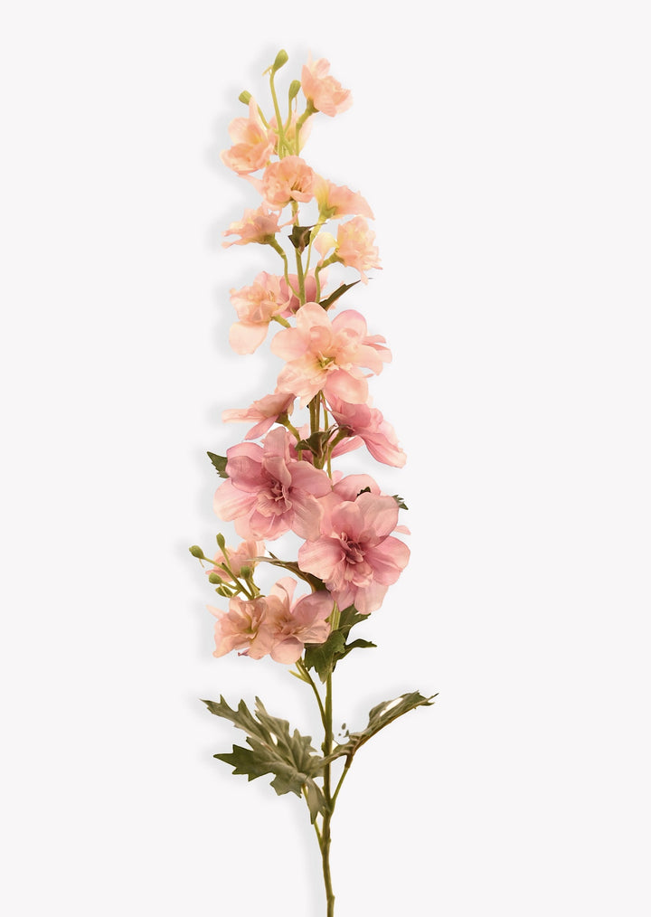 Pink Delphinium